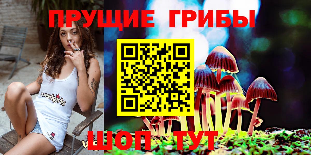 Ленинск-Кузнецкий  Галлюциногенные грибы Magic Shrooms  Вход с VPN 